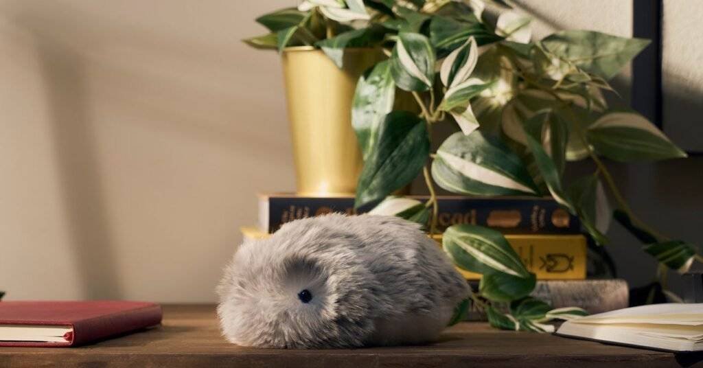 Copy20of200149 Grama Casio Shot 09 3708 219 339