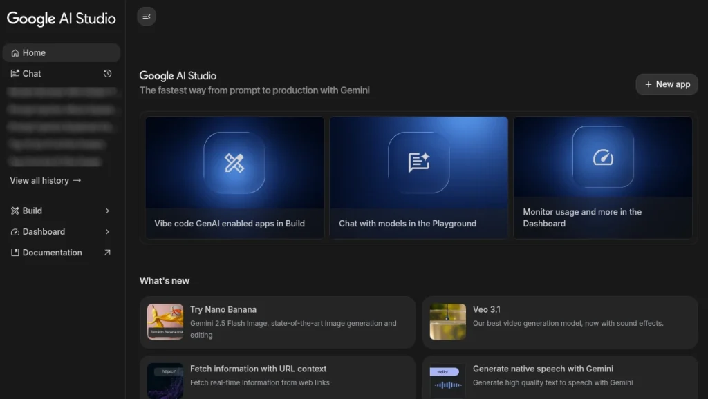 Google AI Studio new ui interface.webp