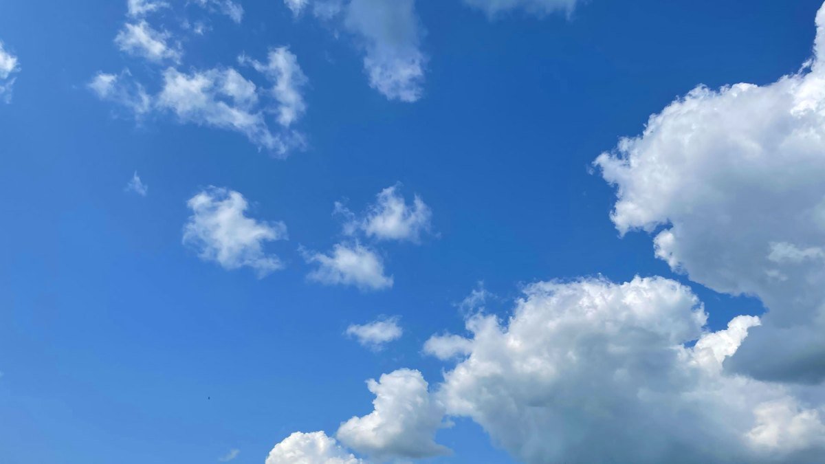 bluesky 007