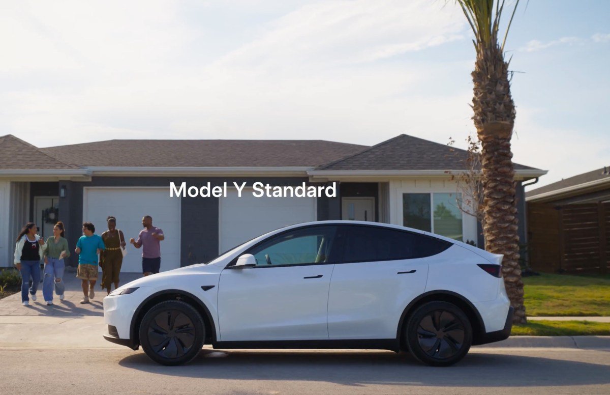 model y standard