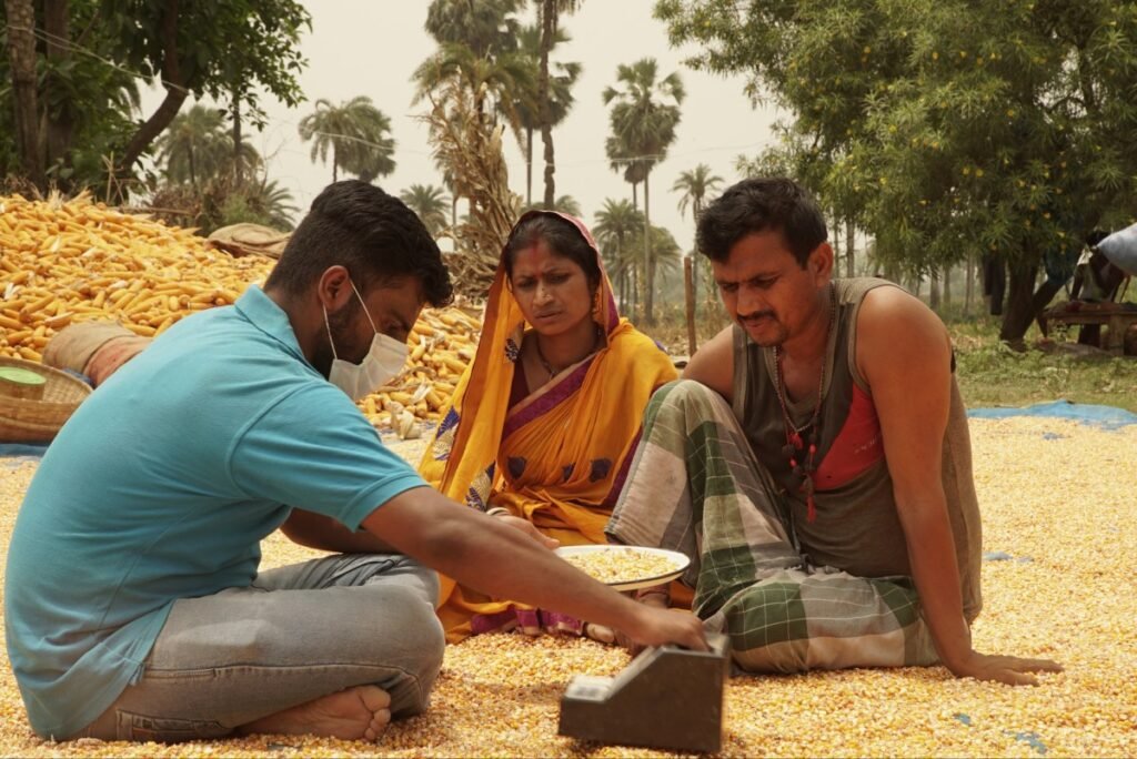 arya ag grain collection storage